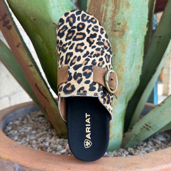 Women's Ariat Leopard Suede Mule