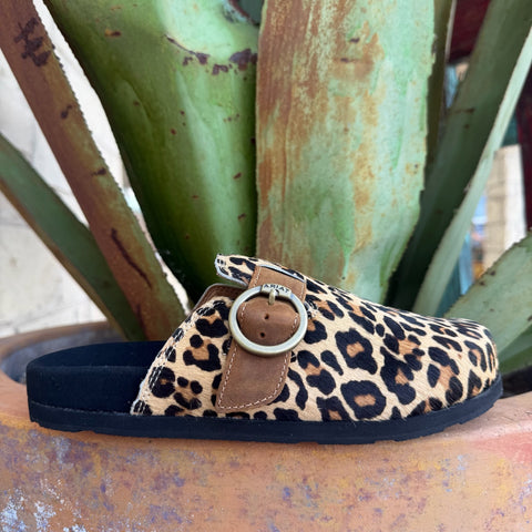 Women's leopard-print suede mule with cushioned footbed and slip-on silhouette — Blair's Western Wear Marble Falls TX