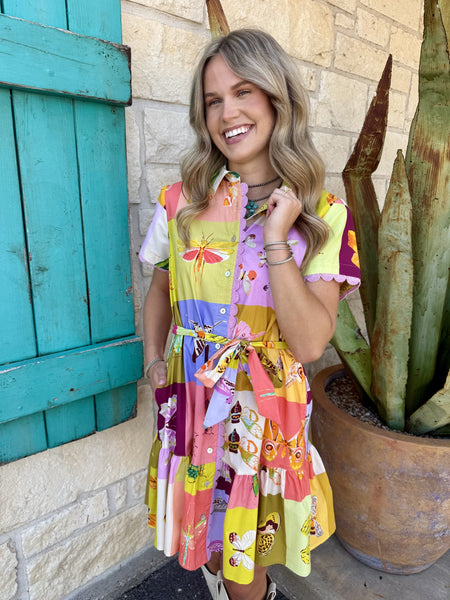Colorblock Butterfly Print Button-Front Midi Dress