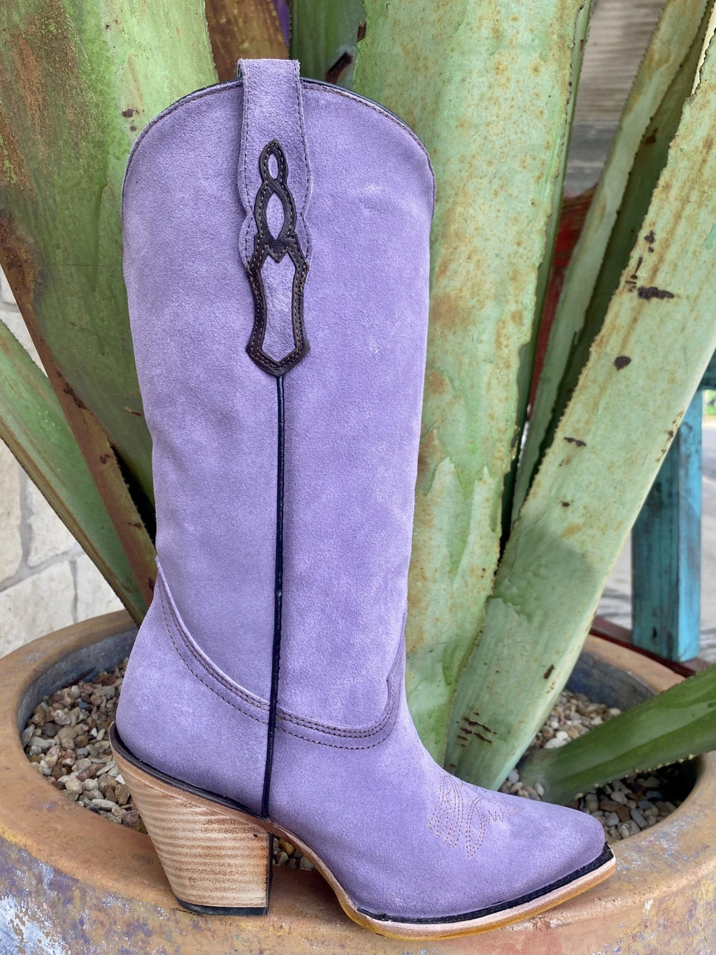 Corral Women's Boot - Z5204