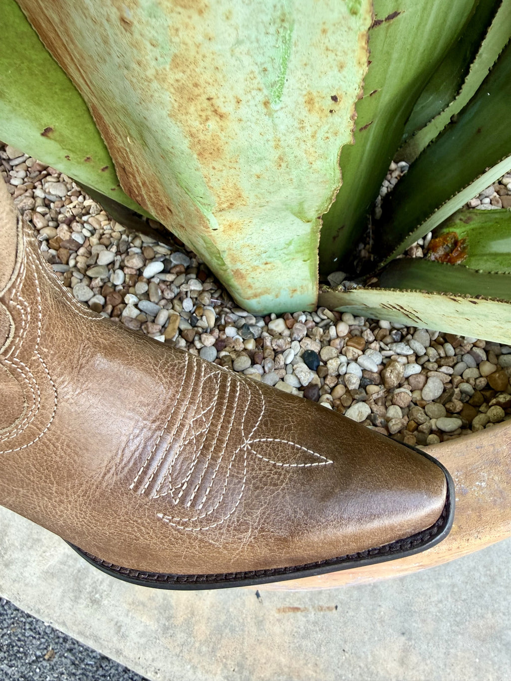 Women's Ariat Calera Waxed Taupe Western Boots
