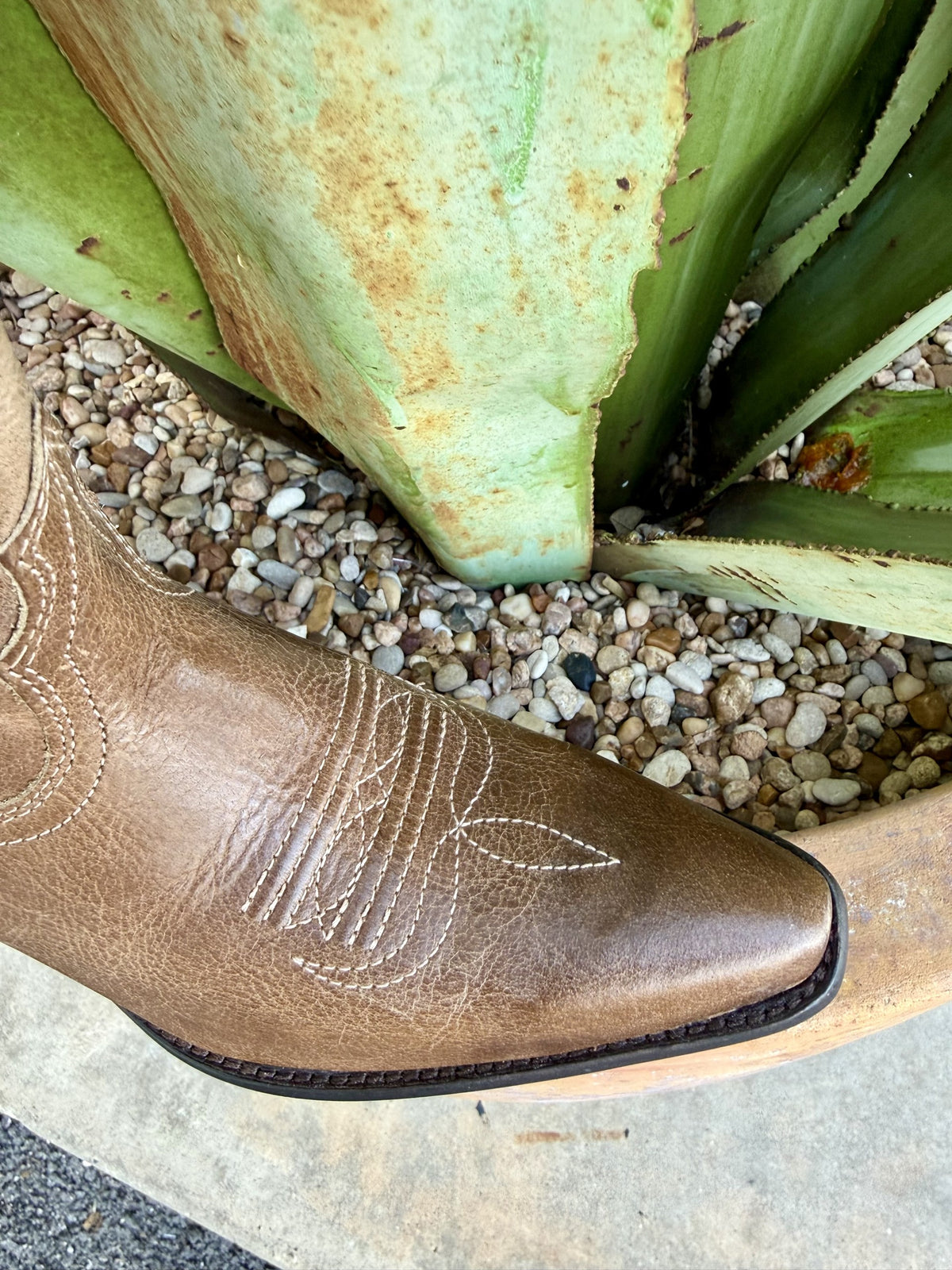 Women's Ariat Calera Waxed Taupe Western Boots