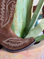 Women's Ariat Casanova Tall Suede Western Boot