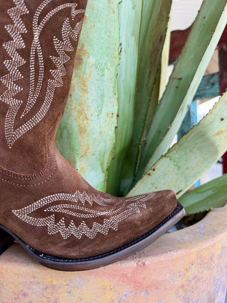 Women's Ariat Casanova Tall Suede Western Boot