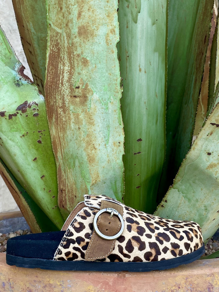 Women's Ariat Leopard Hair-On-Hide Buckle Mule