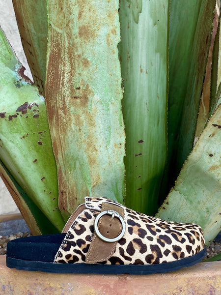 Women's Ariat Leopard Hair-On-Hide Buckle Mule