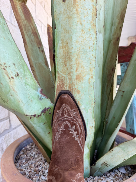 Women's Ariat Casanova Tall Suede Western Boot