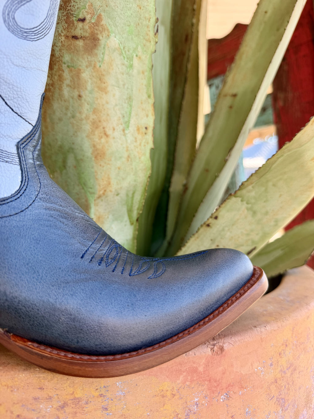 Women's Macie Bean Navy and Light Blue Tall Western Boots