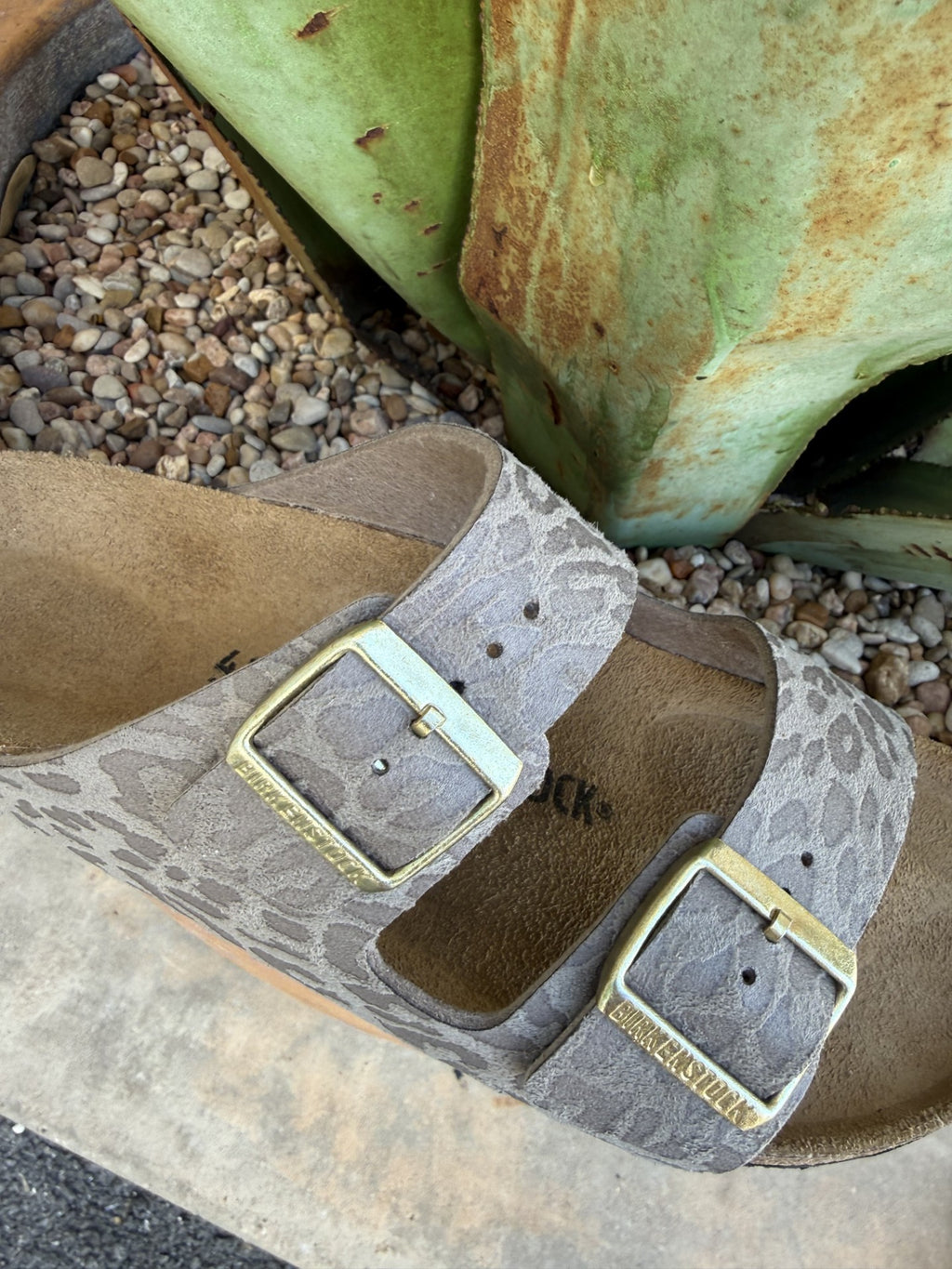 Women's Birkenstock Arizona Leopard Print Sandal