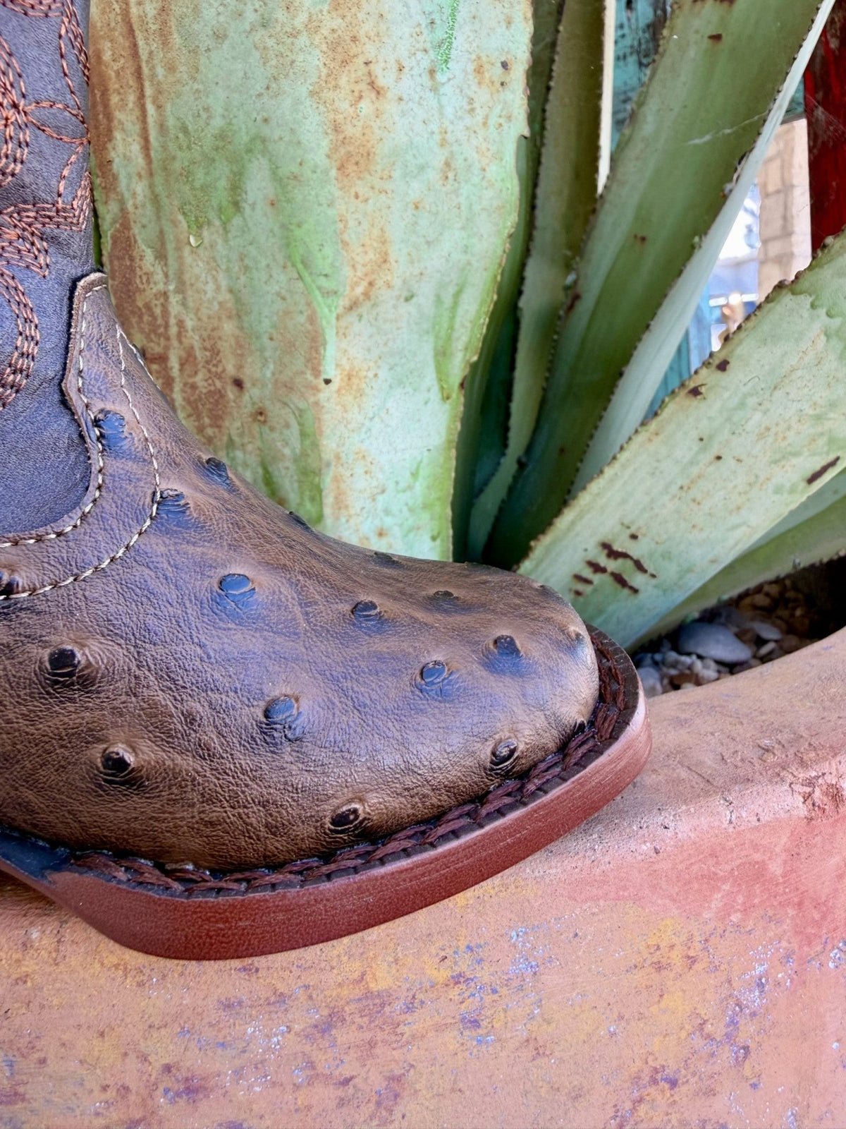Kids' Chocolate Faux-Ostrich Square Toe Western Boots
