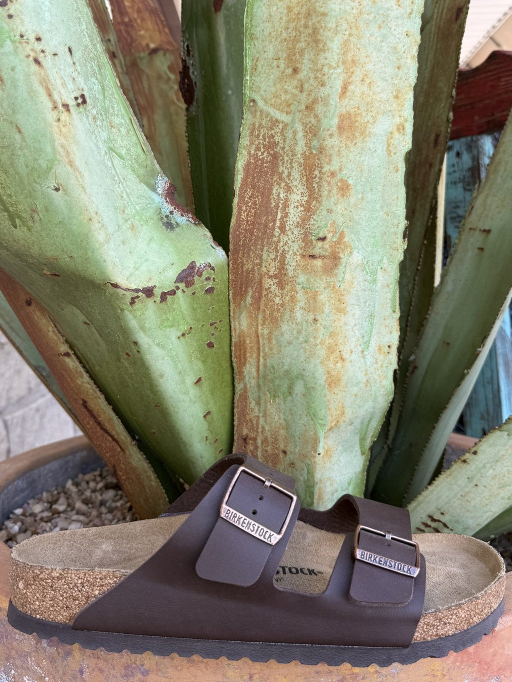 Men's Birkenstock Arizona Chocolate Brown Sandal