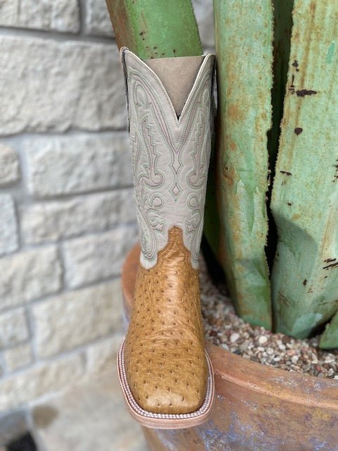 Resistol Antique Saddle and Tan Full Quill Leather Squared Toe Boot -  (RB0103032SS) - BLAIR'S Western Wear located in Marble Falls TX. 