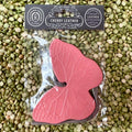 Scent: Cherry Leather