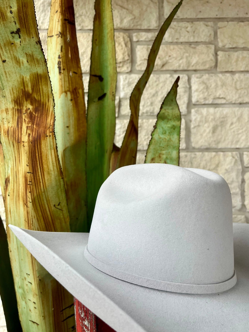 Stetson Skyline Silver Belly 6X Fur Felt Hat