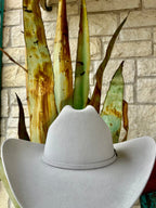 Stetson Skyline Silver Belly 6X Fur Felt Hat