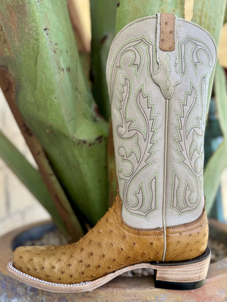 Antique Brown Resistol Cowboy Full Quill Ostrich Boot RB0103032CW - Blair's Western Wear Marble Falls, TX