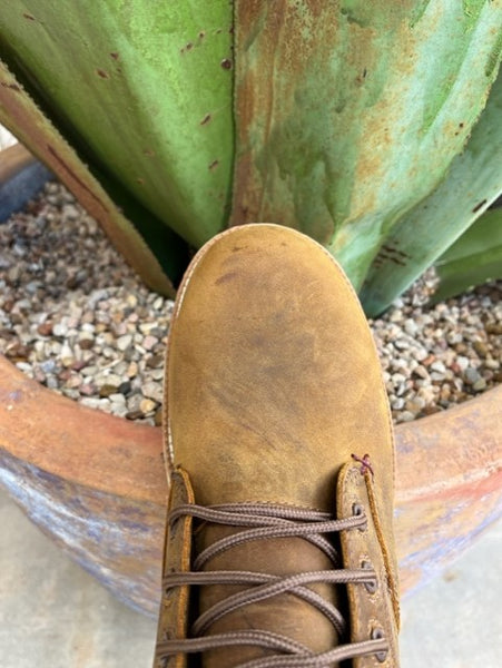 Men's Twisted X Alloy Toe Work Boot with Laces - MXCAW01 - BLAIR'S WESTERN WEAR MARBLE FALLS, TX