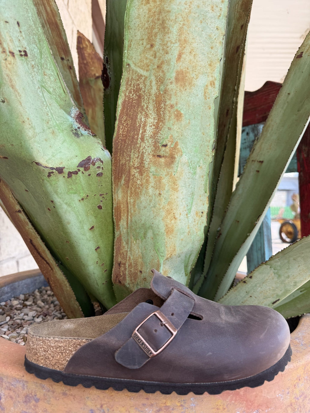 Habana brown oiled leather closed-toe Boston clog with an adjustable buckle strap and contoured footbed — Blair's Western Wear Marble Falls TX