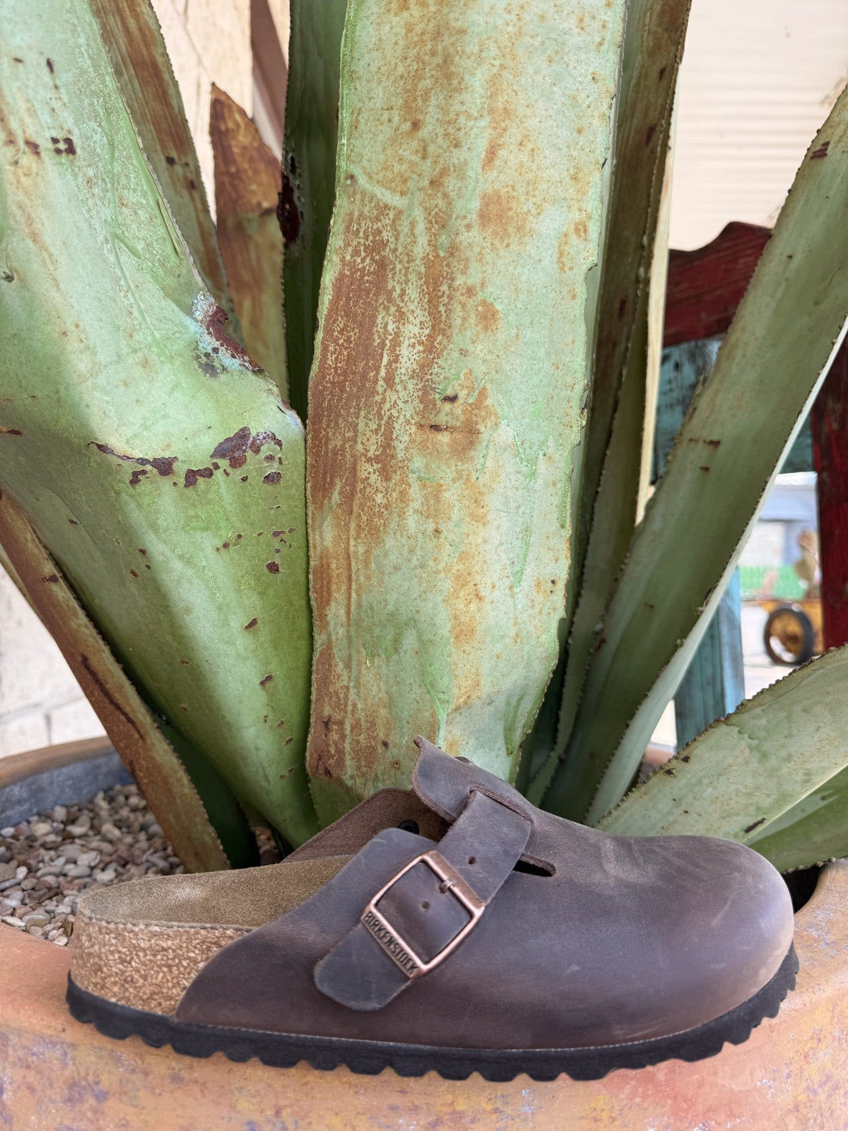 Habana brown oiled leather closed-toe Boston clog with an adjustable buckle strap and contoured footbed — Blair's Western Wear Marble Falls TX