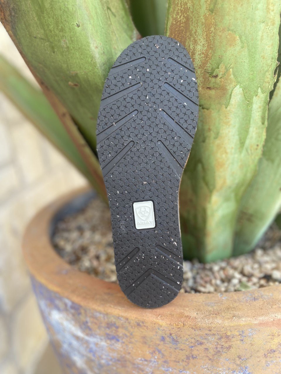 Women's Brown Snake-Print Cruiser Slip-On