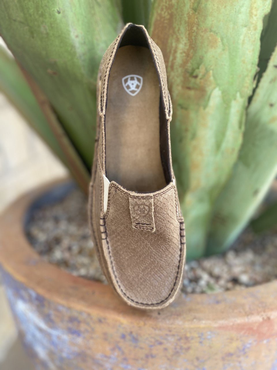 Women's Brown Snake-Print Cruiser Slip-On