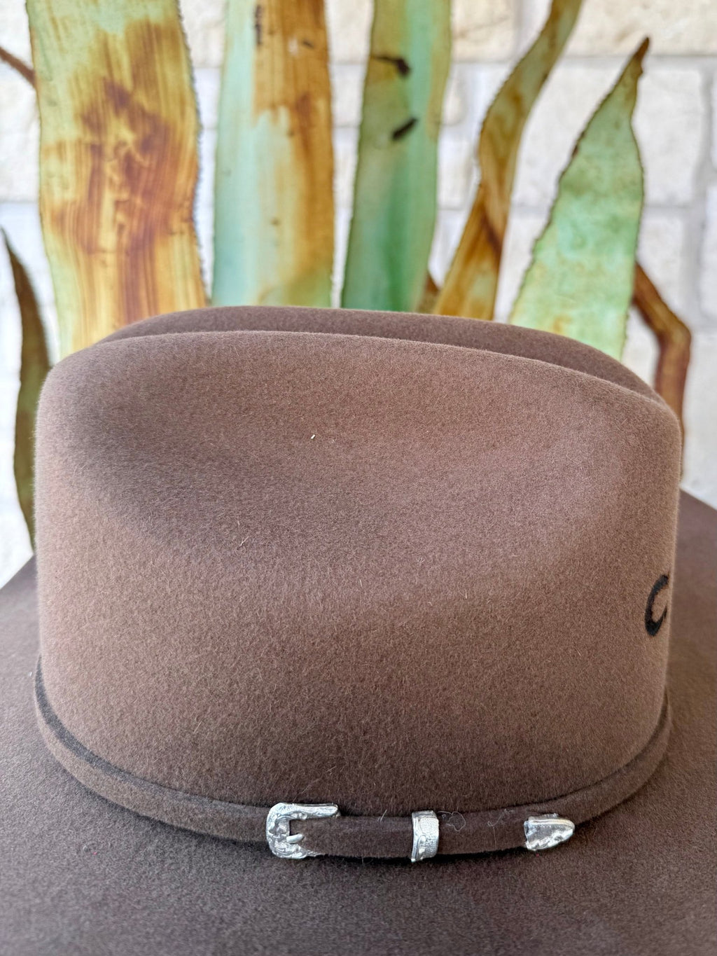 Women's Charlie One Horse Pecan Felt Cowgirl Hat