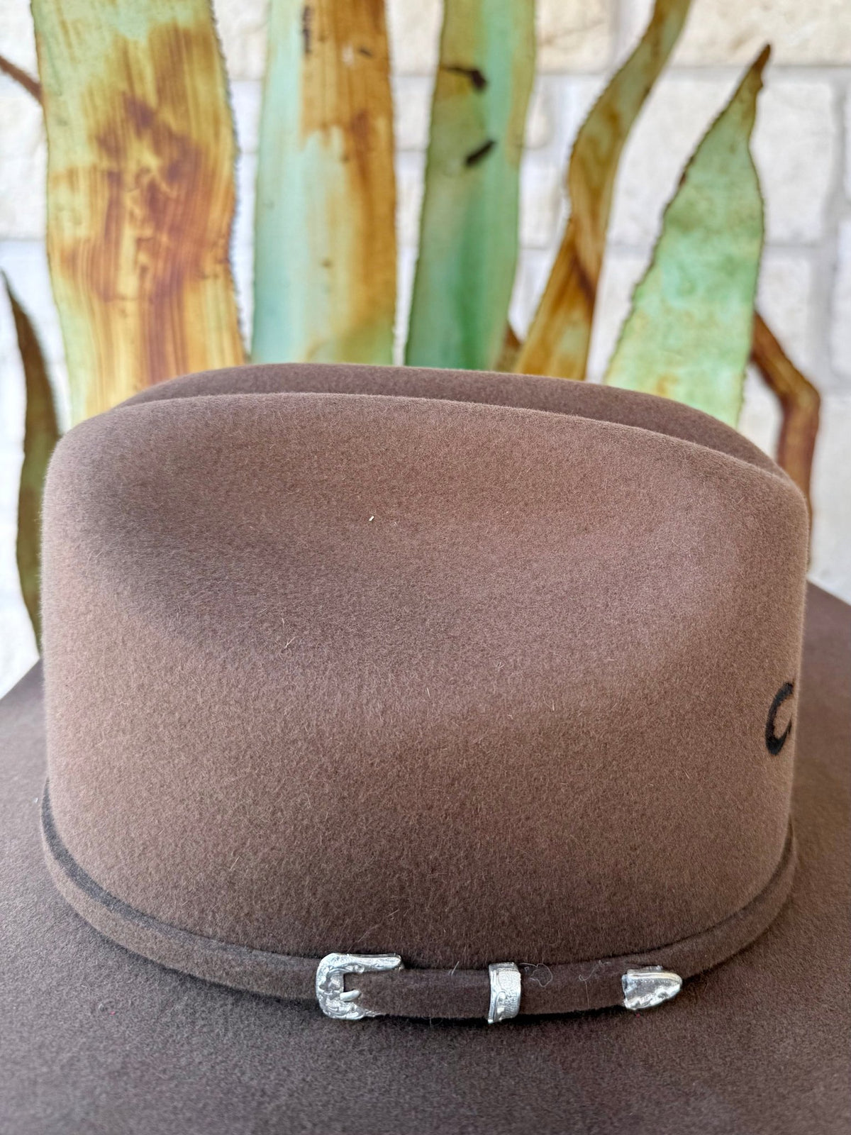 Women's Charlie One Horse Pecan Felt Cowgirl Hat