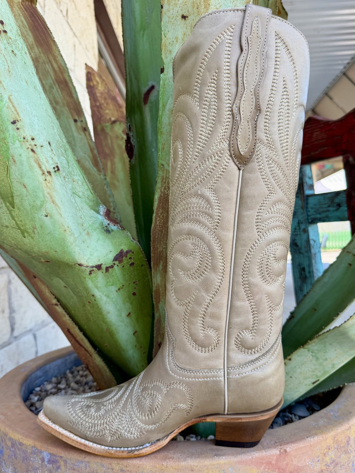 Women's Corral Bone Natural Tall Embroidered Western Boots