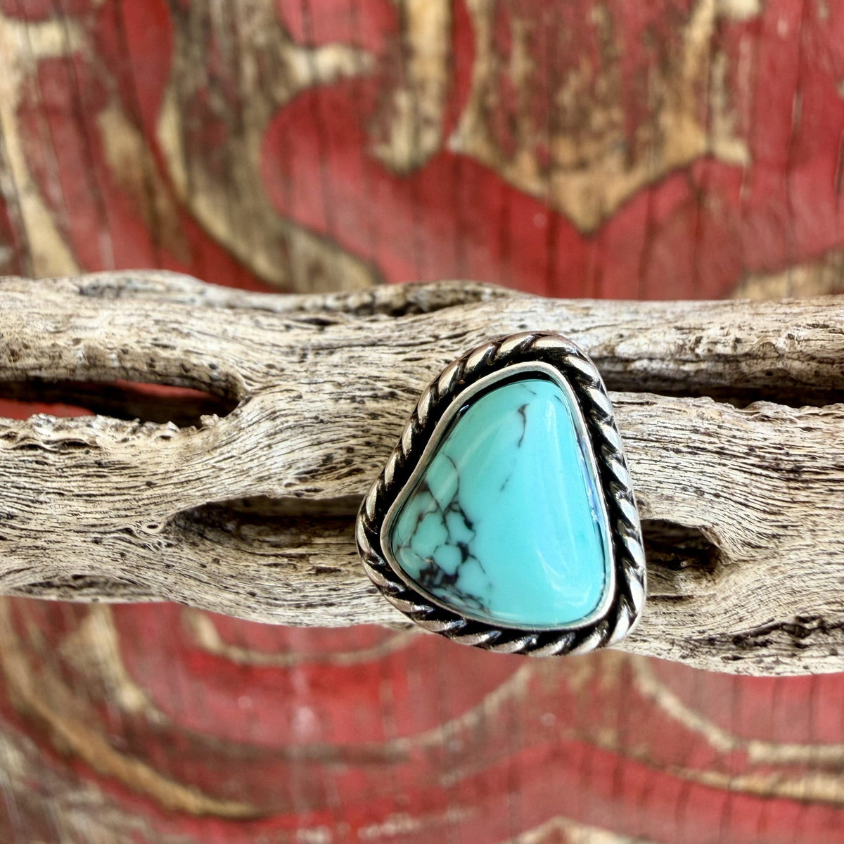 Close-up of triangular stud earring with smooth turquoise-colored center, fine dark veining, and shaded silver-tone rope frame — Blair's Western Wear Marble Falls TX