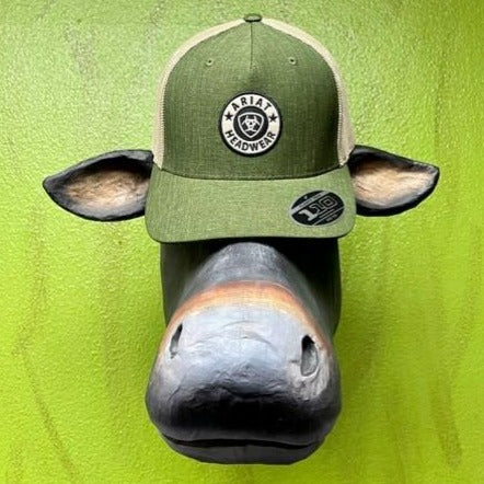 Men's Cap - A300013028 - Olive and Tan Round Ariat Logo - Blair's Western Wear - Marble Falls, TX 