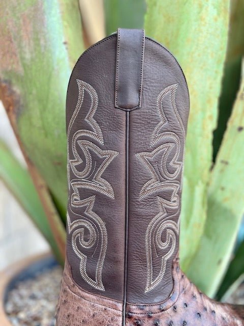 Men's Horse Power Ostrich Skin Western Boots - HP8001 - Blair's Western Wear Marble Falls, TX