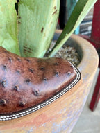 Men's Horse Power Ostrich Skin Western Boots - HP8001 - Blair's Western Wear Marble Falls, TX