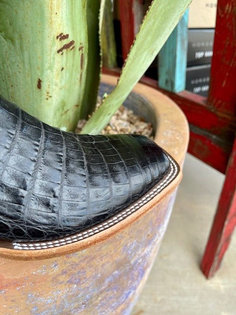 Men's Horse Power Black Caiman Boot - HP8002 - Blair's Western Wear Marble Falls, TX