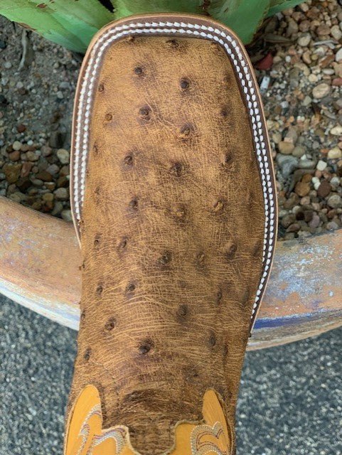 Anderson Bean Men's Antique Saddle Ostrich Western Boot