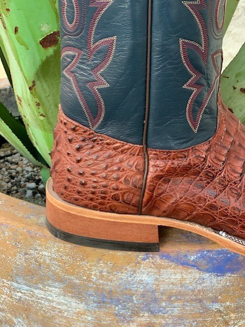 Anderson Bean Men's Caiman Belly Western Boot