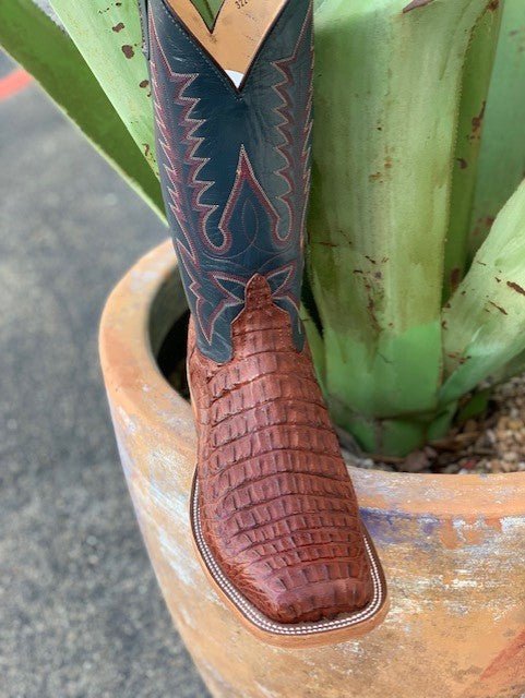 Anderson Bean Men's Caiman Belly Western Boot