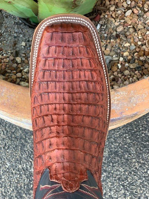 Anderson Bean Men's Caiman Belly Western Boot
