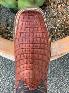 Anderson Bean Men's Caiman Belly Western Boot