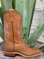Anderson Bean Men's Full Quill Ostrich Sagebrush Western Boot