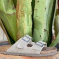 Birkenstock Men's Arizona Vegan Desert Dusty Grey Taupe Sandal