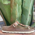 Birkenstock Women's Gizeh Cognac Braided Oiled Leather Sandal