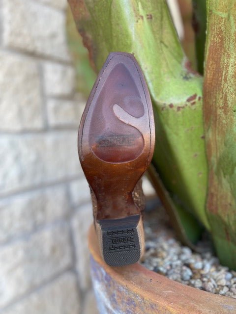 Ladies Corral Boots in Brown/Gold Glitter with Stud Detailing - C3331 - Blair's Western Wear in Marble Falls, TX