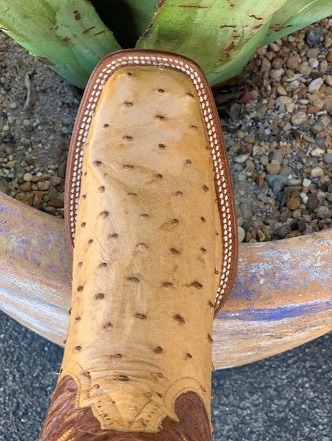 Rod Patrick Men's Boot - 11870