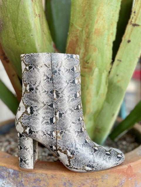 Ladies Snake Print Booties w/ 3" Heel in Grey/Gold - BKNJ3109F - Blair's Western Wear Marble Falls, TX 