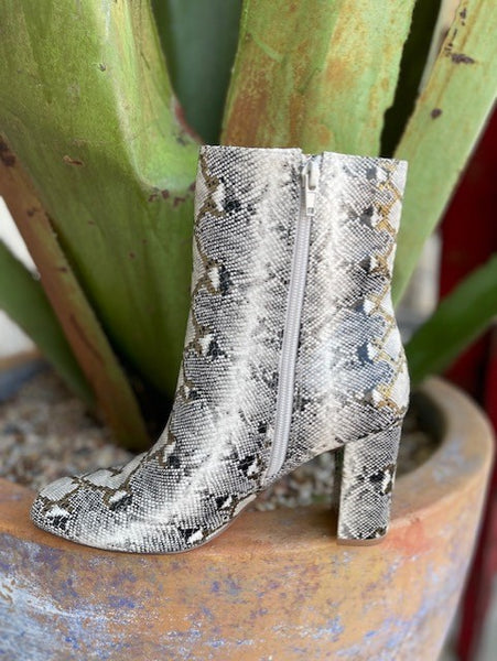 Ladies Snake Print Booties w/ 3" Heel in Grey/Gold - BKNJ3109F - Blair's Western Wear Marble Falls, TX