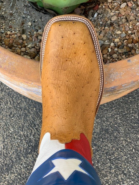 Anderson Bean Men's Belly Ostrich Texas Flag Western Boot
