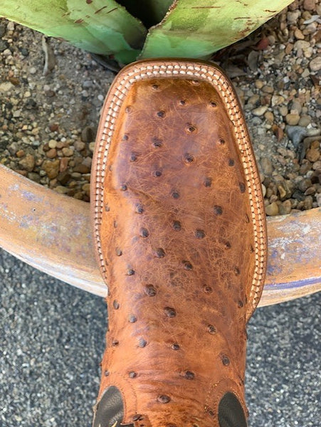 Rod Patrick Men's Boot  - 13518