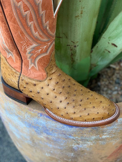 Men's Saddle Ostrich Square Toe Western Boot