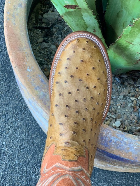 Men's Saddle Ostrich Square Toe Western Boot