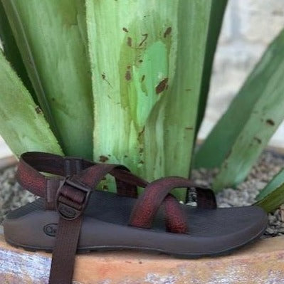 Chaco Sandal single strap brown and wine all terrain j106161